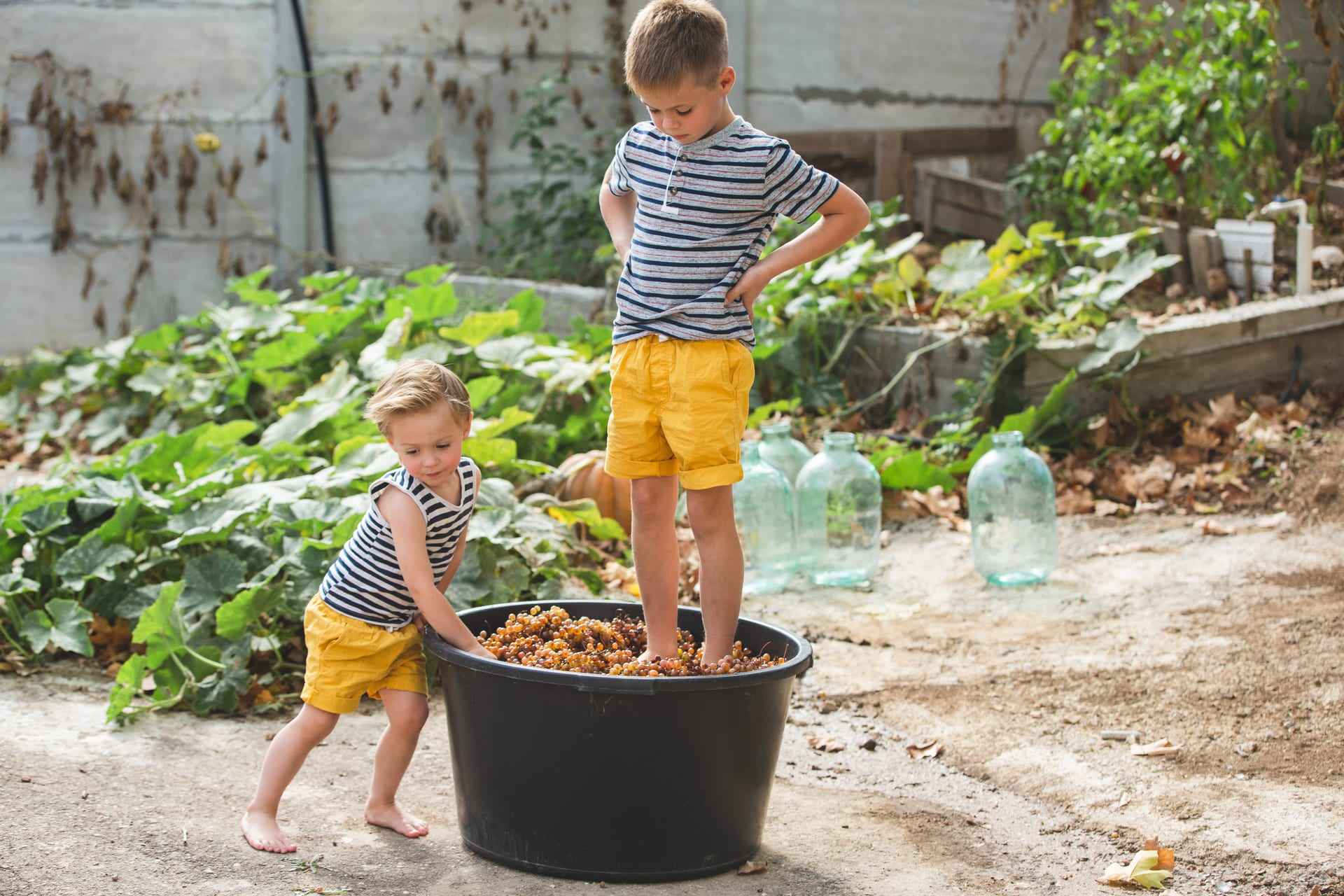 Due bambini pigiano l'uva insieme: la generazione che eredita la tradizione vinicola italiana.
