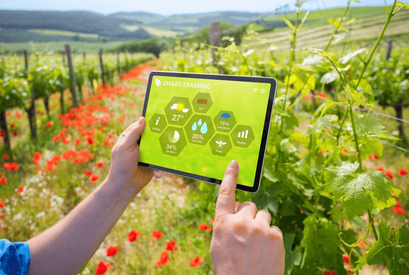 Un tablet che mostra una dashboard di smart farming con riquadri meteo, suolo e umidità, tenuto sopra un vigneto in fiore.