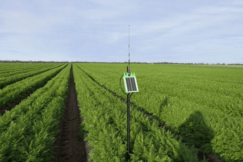 Una stazione sensori IoT a energia solare con antenna e centralina dati, installata in un campo agricolo.