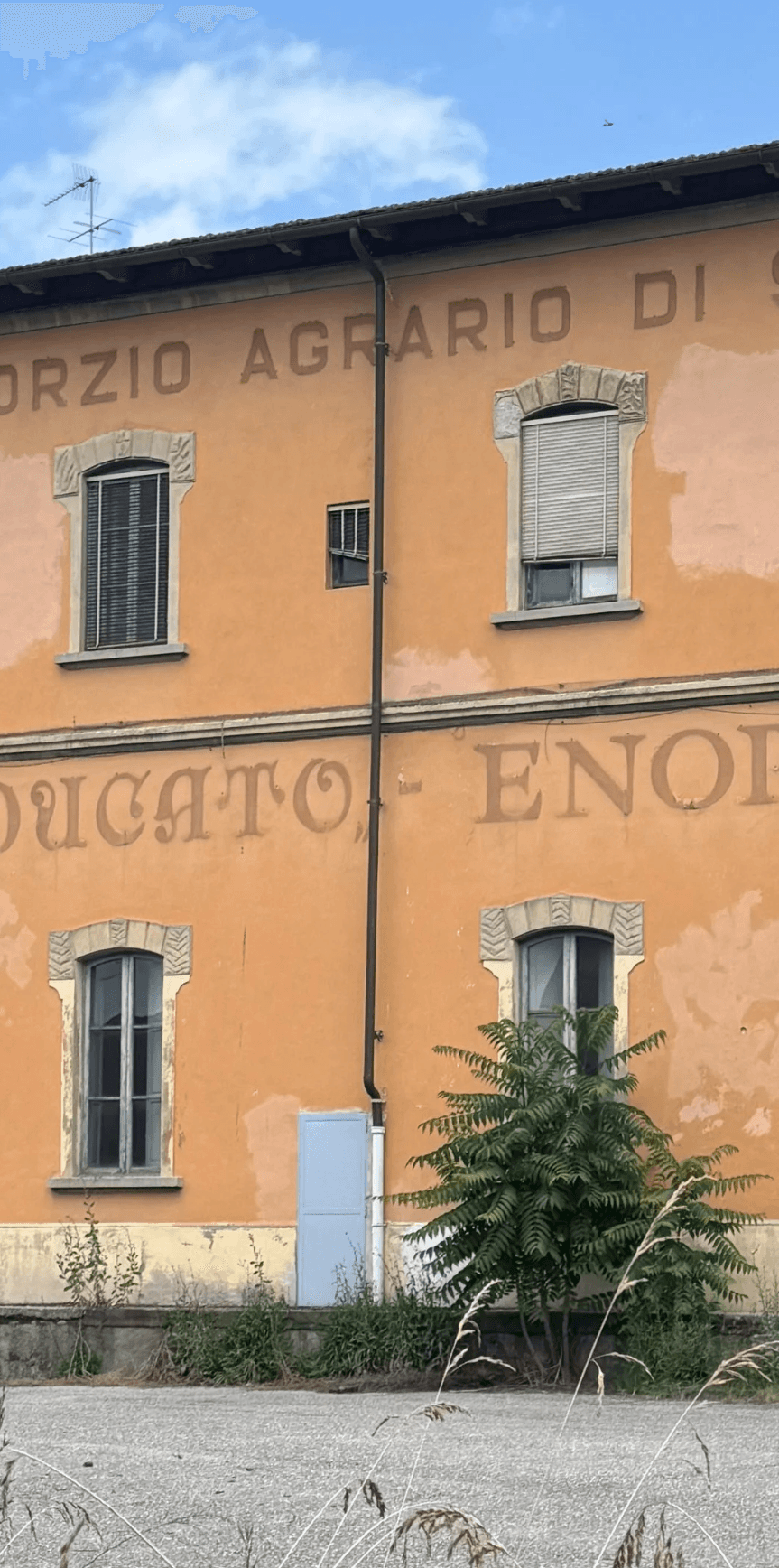 Il vecchio stabilimento di imbottigliamento del Chianti a Poggibonsi, l'edificio dietro al legame della famiglia di Nick con il mondo del vino.