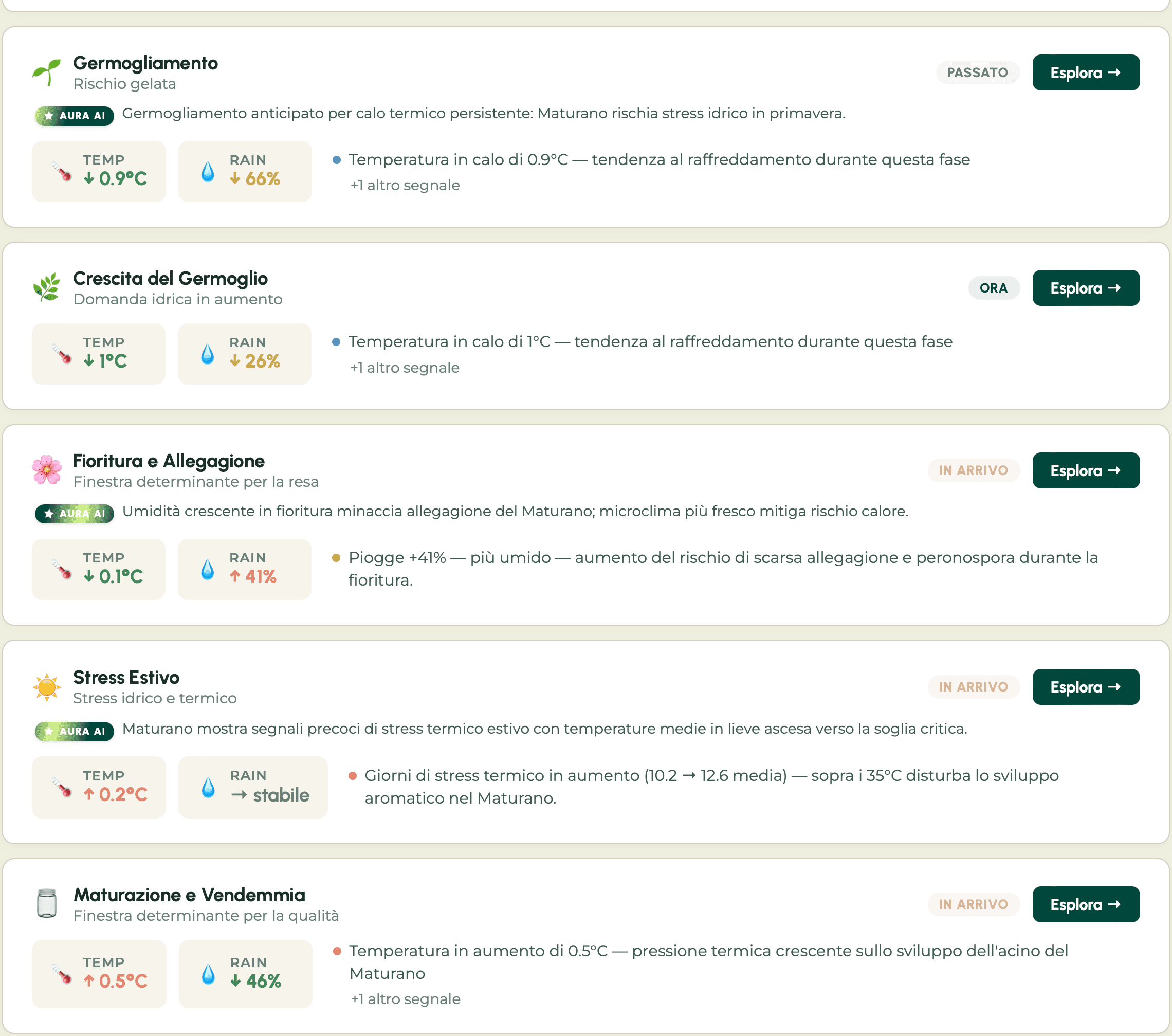 Panoramica stagionale di Aura: ogni fase di crescita dal germogliamento alla vendemmia, con segnali AI di temperatura e pioggia per ciascuna fase.