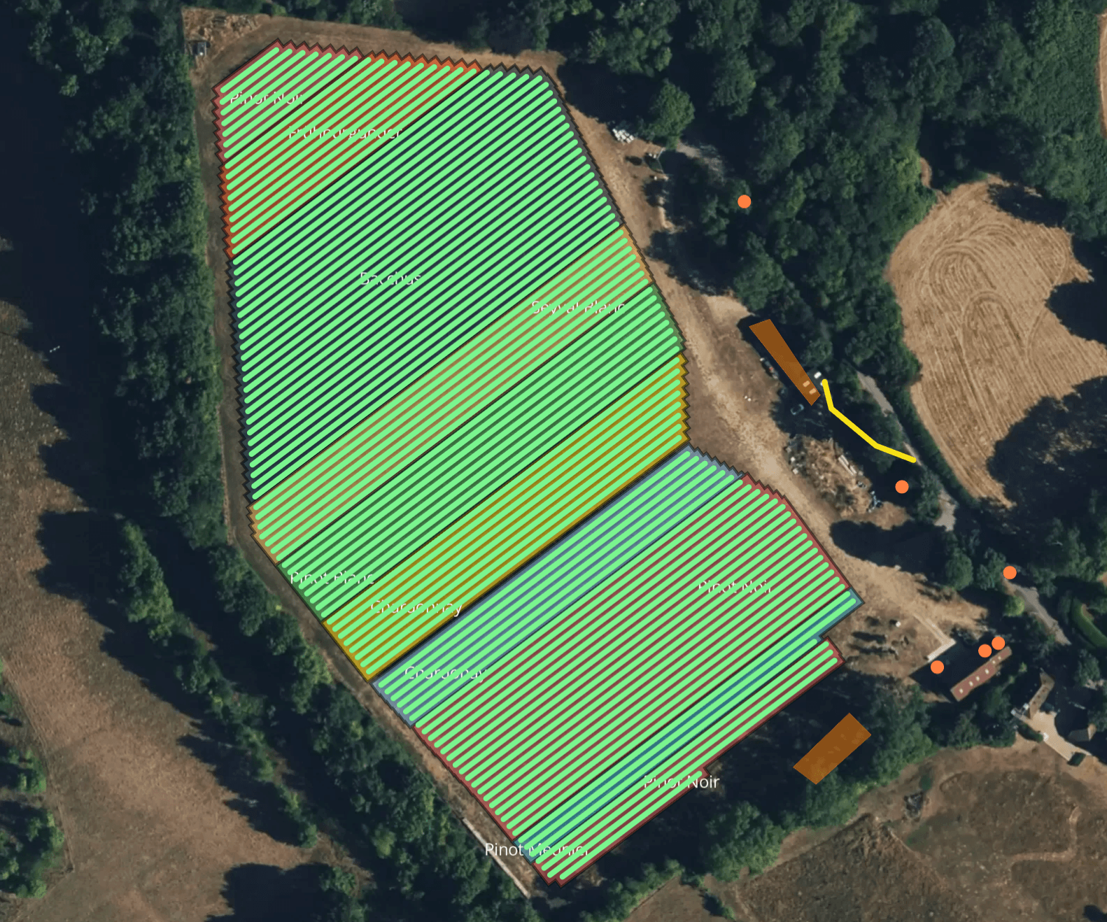 Vista aerea di un vigneto con la mappatura delle varietà Aurelia: filari e etichette per Pinot Noir, Chardonnay e Pinot Meunier.