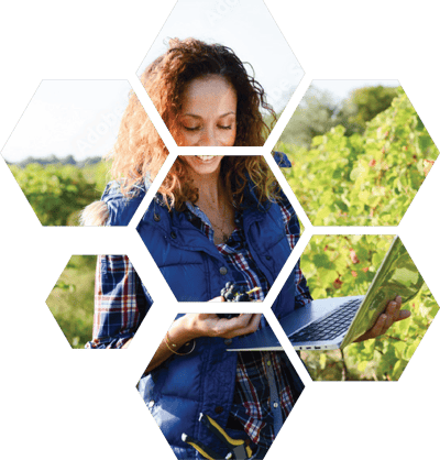 Woman working on a laptop in a vineyard